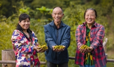 乡村振兴在行动｜安徽宁国：“小山变大山” 致富路更宽