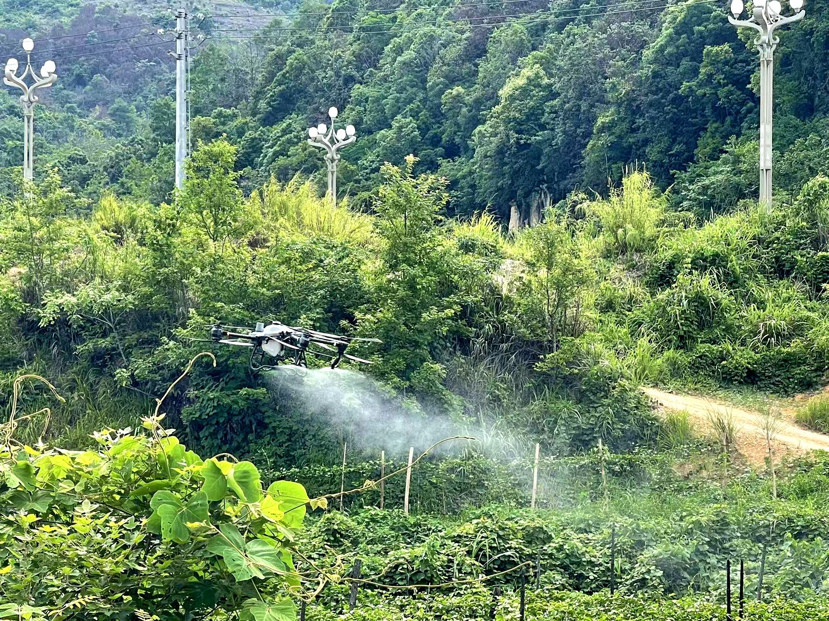 图为：7月26日，贵州省从江县农业农村局正在使用植保无人机飞防作业