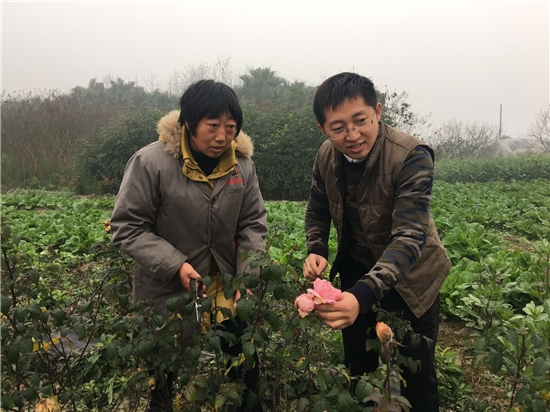 大学生返乡创业种玫瑰开出“致富花”