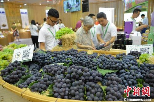 资料图：6月30日，成都第五届国际都市现代农业博览会在成都开幕。本届展会展览面积达5.5万平方米，1100余家国内外展商参展，上万种国内外富有鲜明地域特色的农产品亮相。图为市民参观特色水果。 <a target='_blank'  data-cke-saved-href='http://www.chinanews.com/' href='http://www.chinanews.com/' _fcksavedurl='http://www.chinanews.com/'>中新社</a>记者 张浪 摄