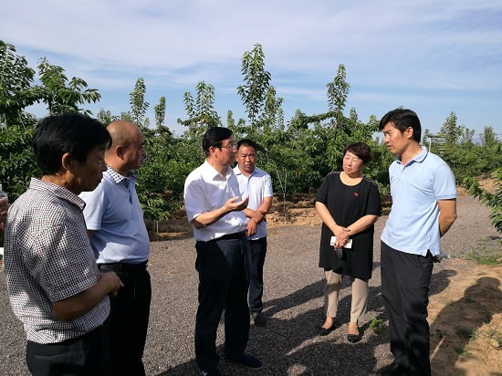 赵安泽副巡视员在运城调研农产品出口质量安全示范区建设情况
