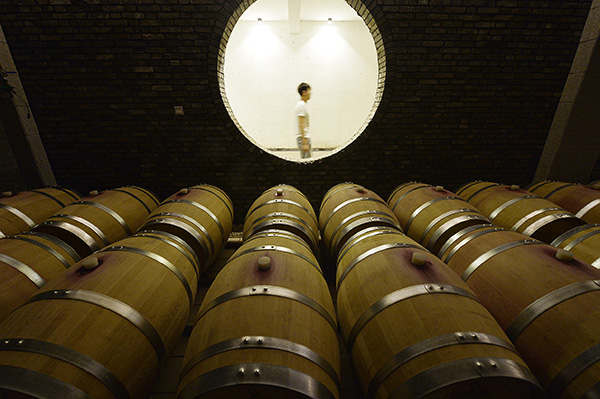 7月8日，在宁夏贺兰山东麓一家酒庄内，工作人员在巡查葡萄酒酒窖。