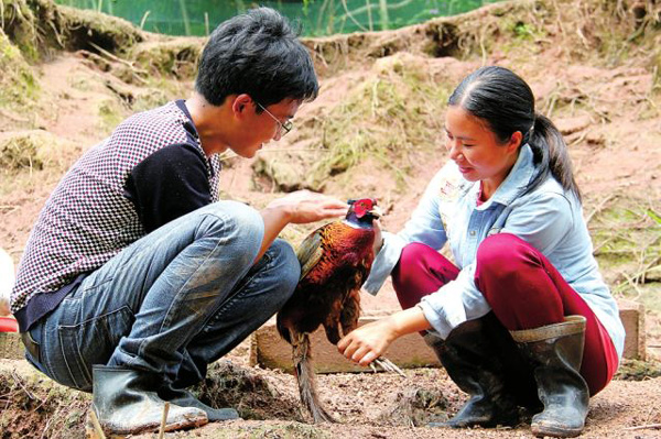 重庆大足山沟沟里飞出“金凤凰”