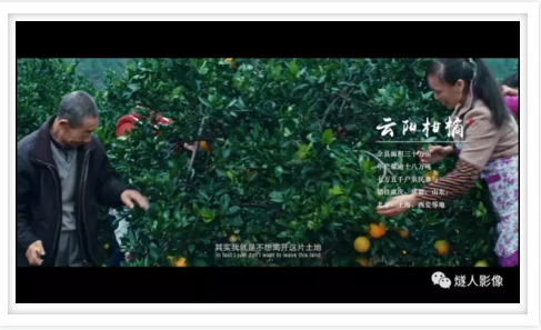 QQ截图20170112170317.png QQ截图20170112170317.png